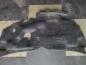 Preview: Motorhauben Dämmatte Ford KA 1,3