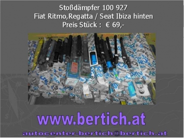 Stoßdämpfer Fiat Ritmo,Regatta Seat Ibiza hinten