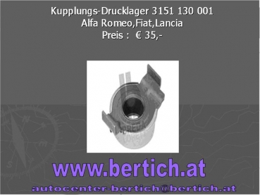 Kupplungs-Drucklager Alfa Romeo,Fiat,Lancia