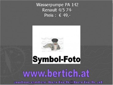 Wasserpumpe Renault 4/5 74-