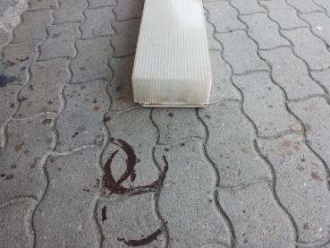 Leuchte / Neonleuchten