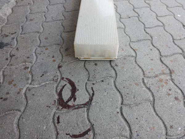 Leuchte / Neonleuchten